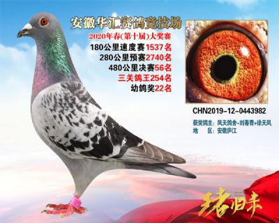 安徽華匯決賽56名