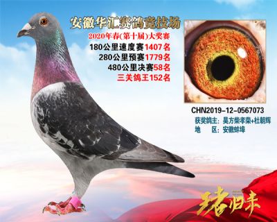 安徽華匯決賽58名