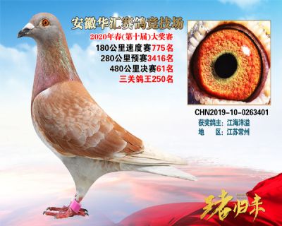 安徽華匯決賽61名
