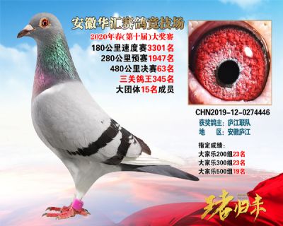 安徽華匯決賽63名