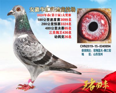 安徽華匯決賽65名