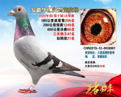 安徽華匯決賽66名