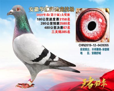 安徽華匯決賽67名
