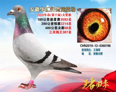 安徽華匯決賽68名