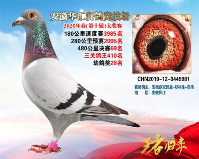 安徽華匯決賽69名
