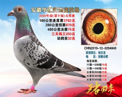 安徽華匯決賽75名