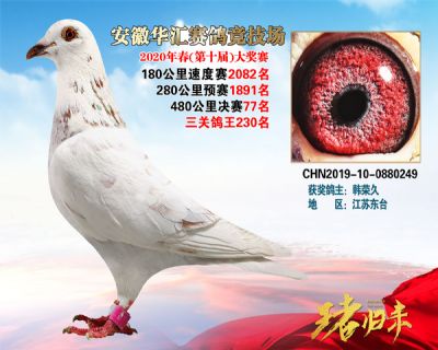 安徽華匯決賽77名