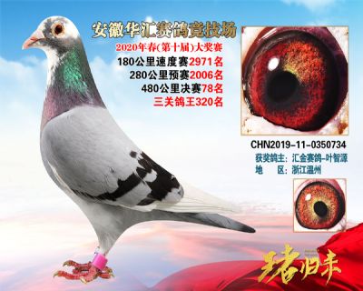 安徽華匯決賽78名