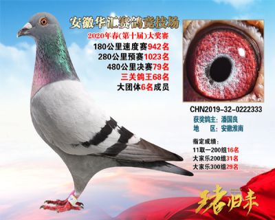 安徽華匯決賽79名