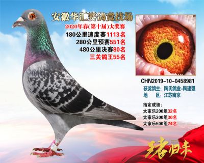 安徽華匯決賽80名