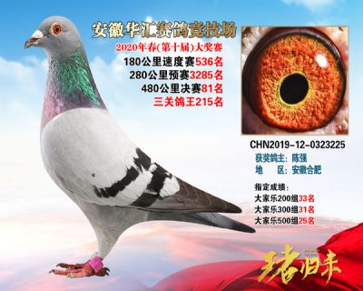 安徽華匯決賽81名