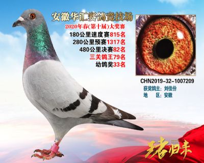 安徽華匯決賽82名