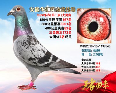 安徽華匯決賽83名