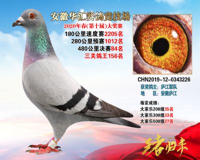 安徽華匯決賽84名