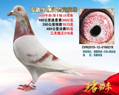 安徽華匯決賽85名