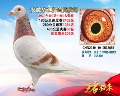 安徽華匯決賽86名