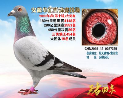 安徽華匯決賽89名