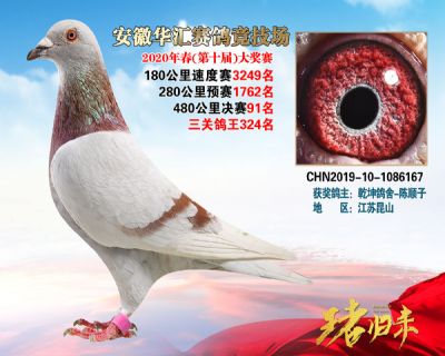 安徽華匯決賽91名