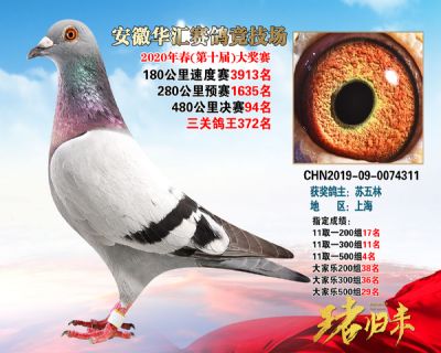 安徽華匯決賽94名