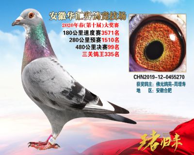 安徽華匯決賽99名