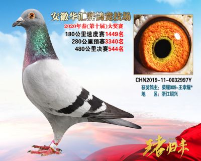 安徽華匯決賽544名