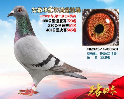 安徽華匯決賽545名