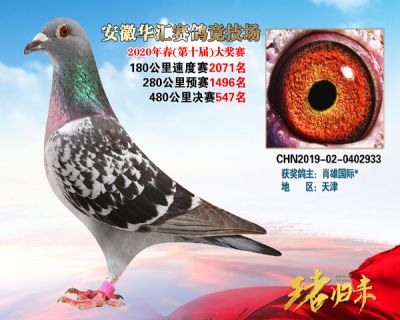 安徽華匯決賽547名