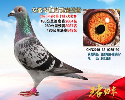 安徽華匯決賽548名