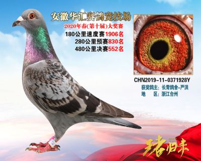 安徽華匯決賽552名