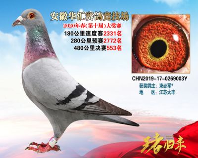安徽華匯決賽553名