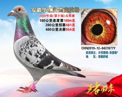 安徽華匯決賽554名