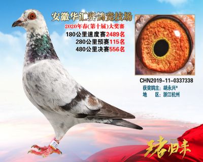 安徽華匯決賽556名