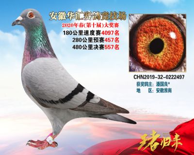 安徽華匯決賽557名