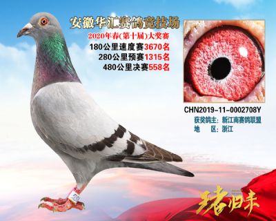 安徽華匯決賽558名