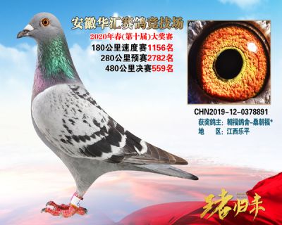 安徽華匯決賽559名