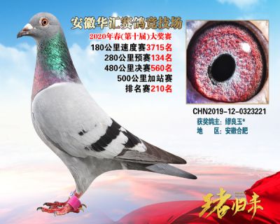 安徽華匯決賽560名