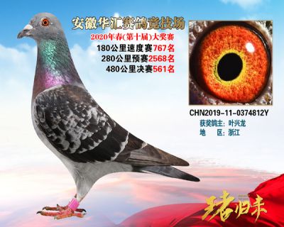 安徽華匯決賽561名