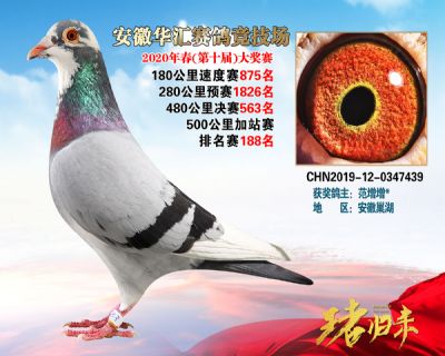 安徽華匯決賽563名