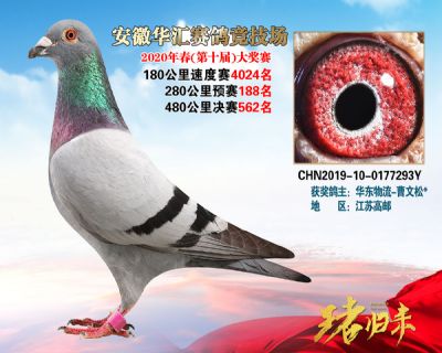 安徽華匯決賽562名