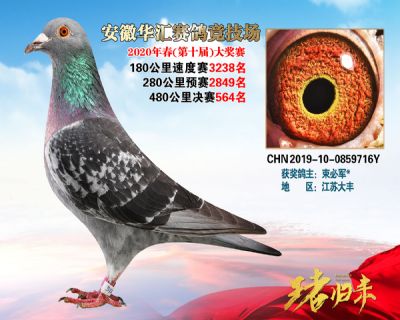 安徽華匯決賽564名