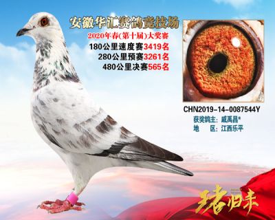 安徽華匯決賽565名