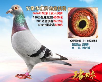 安徽華匯決賽569名