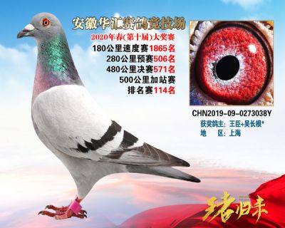 安徽華匯決賽571名