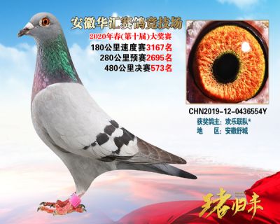 安徽華匯決賽573名
