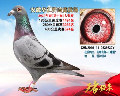 安徽華匯決賽574名