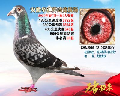 安徽華匯決賽576名