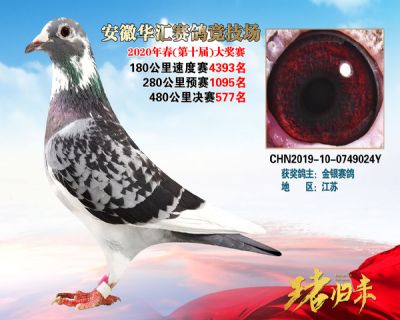安徽華匯決賽577名