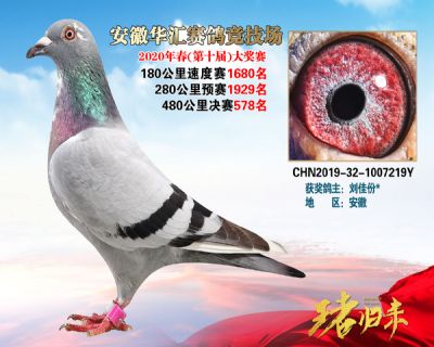 安徽華匯決賽578名