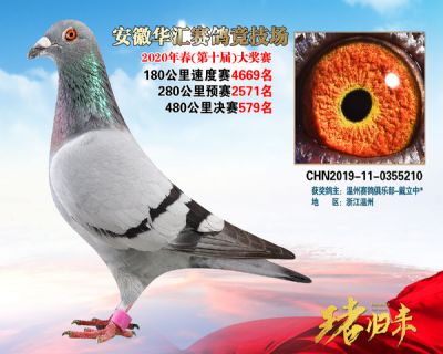 安徽華匯決賽579名