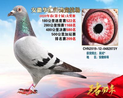 安徽華匯決賽580名